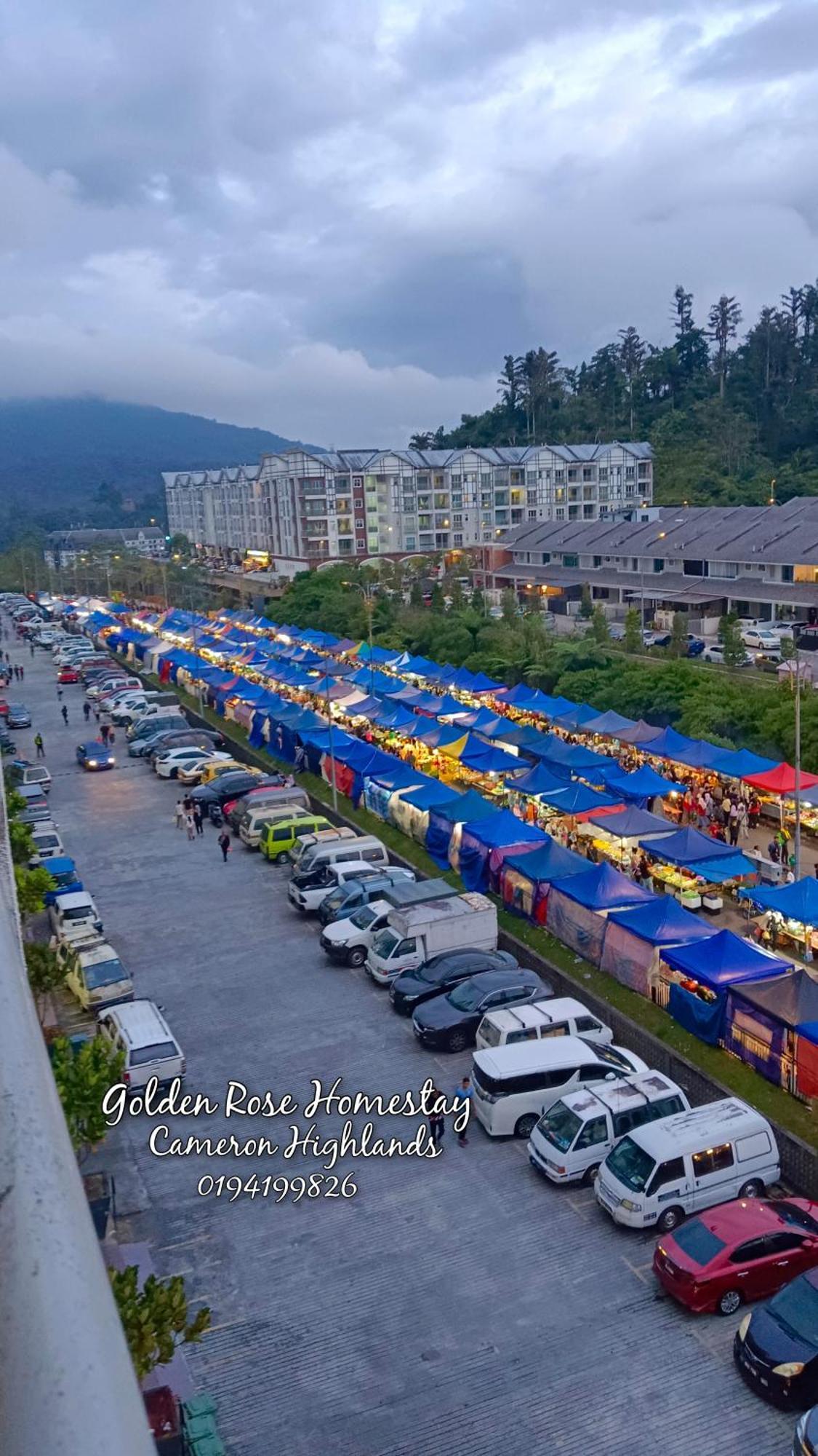 Golden Rose Homestay Cameron Highlands Brinchang Bagian luar foto